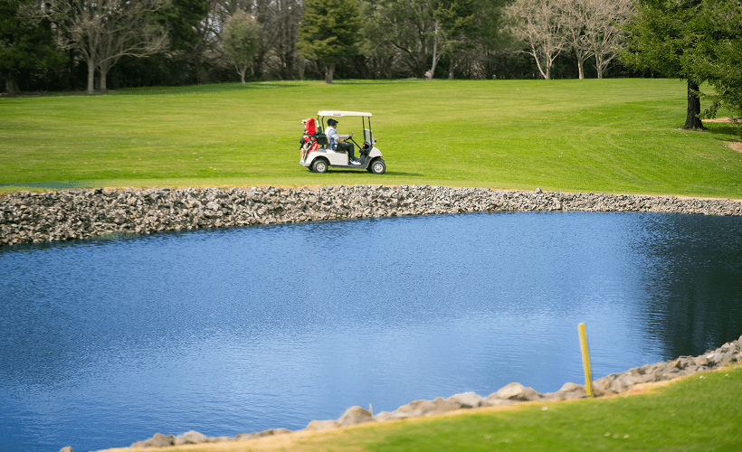 Golf cart beside serene pond